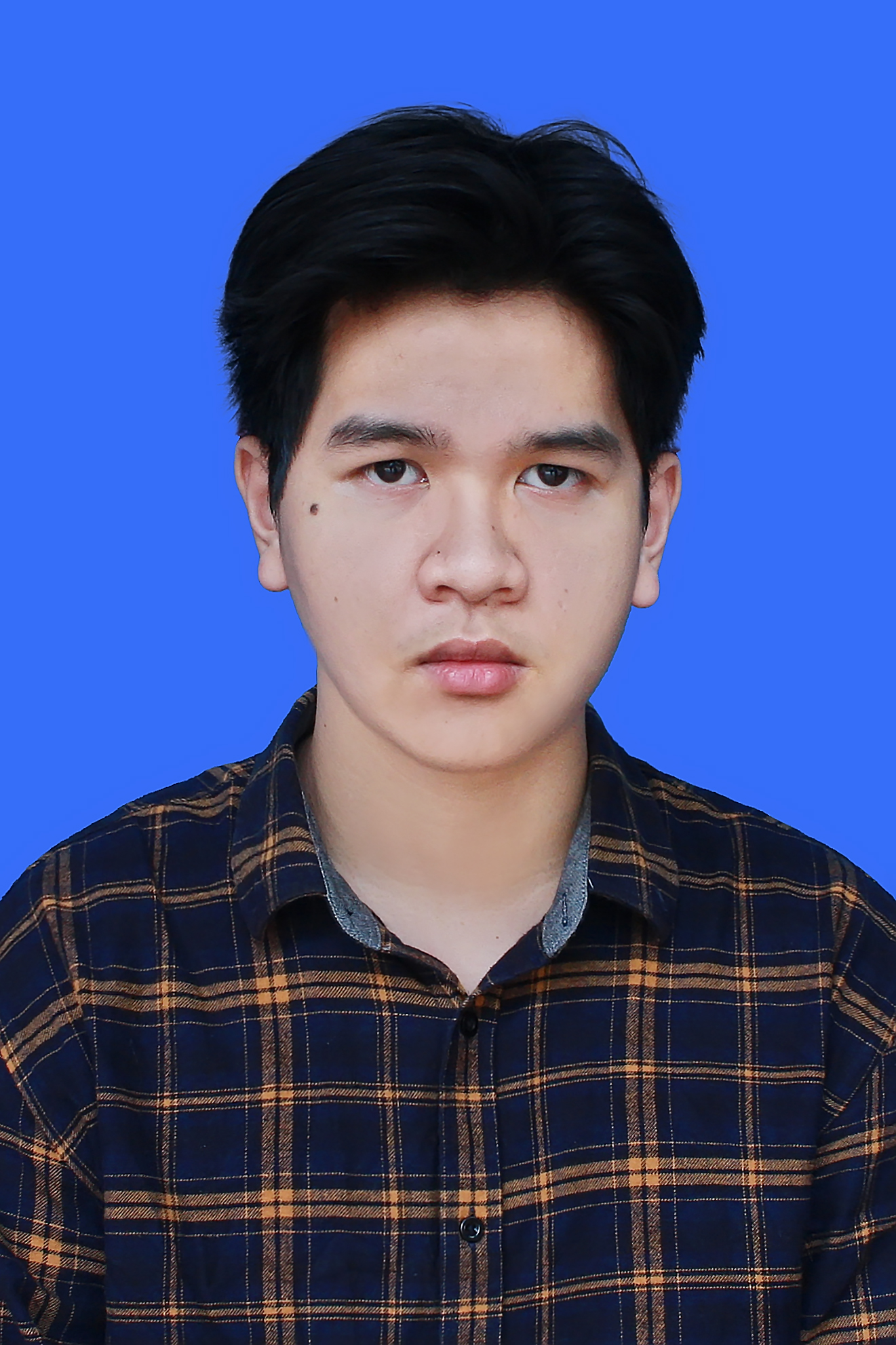 <?php the_title(); ?>